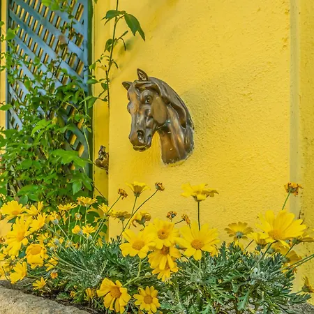 Apartmán Cristal *